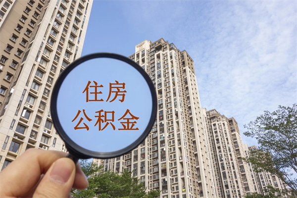 呼和浩特公积金新政今起实施（呼和浩特公积金新政出台）